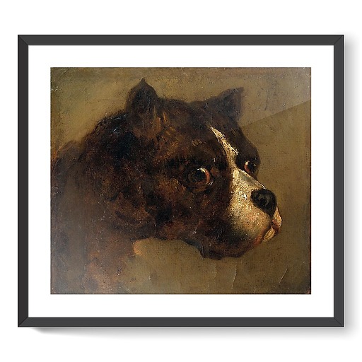 Bulldog Head (framed art prints)