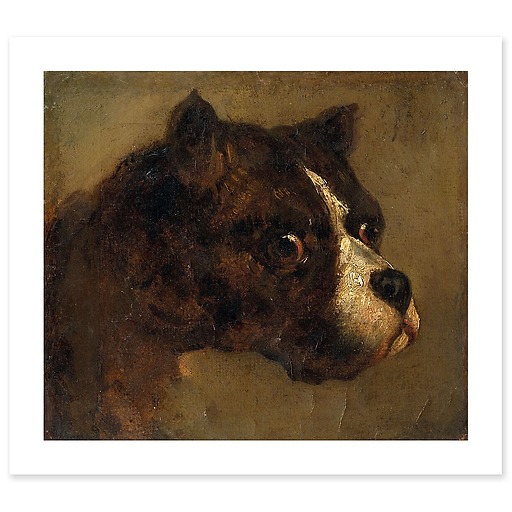 Bulldog Head (canvas without frame)