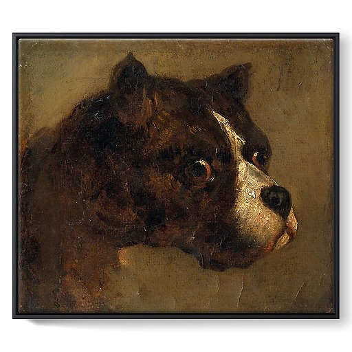 Bulldog Head (framed canvas)