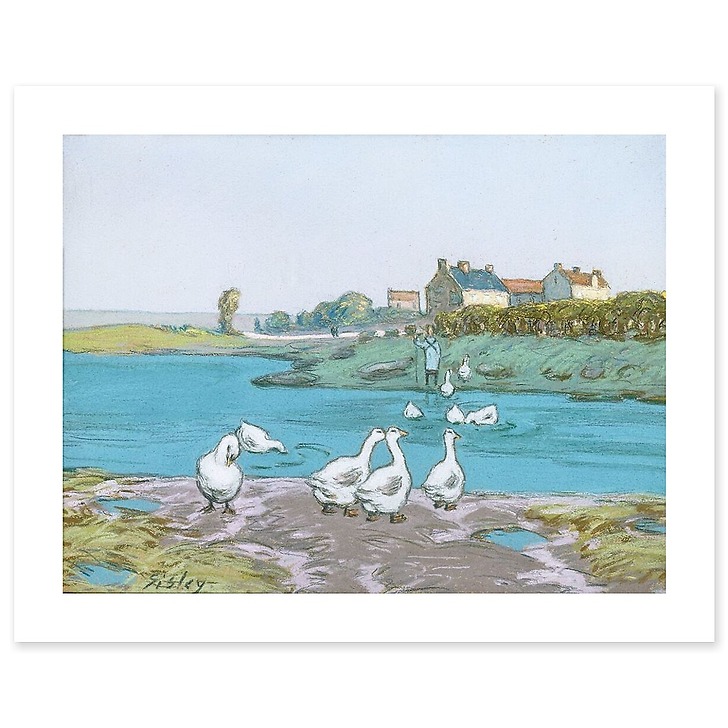 The goose pond (art prints)