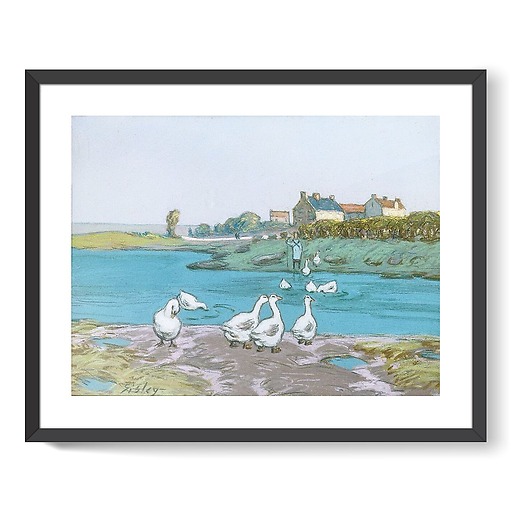 The goose pond (framed art prints)