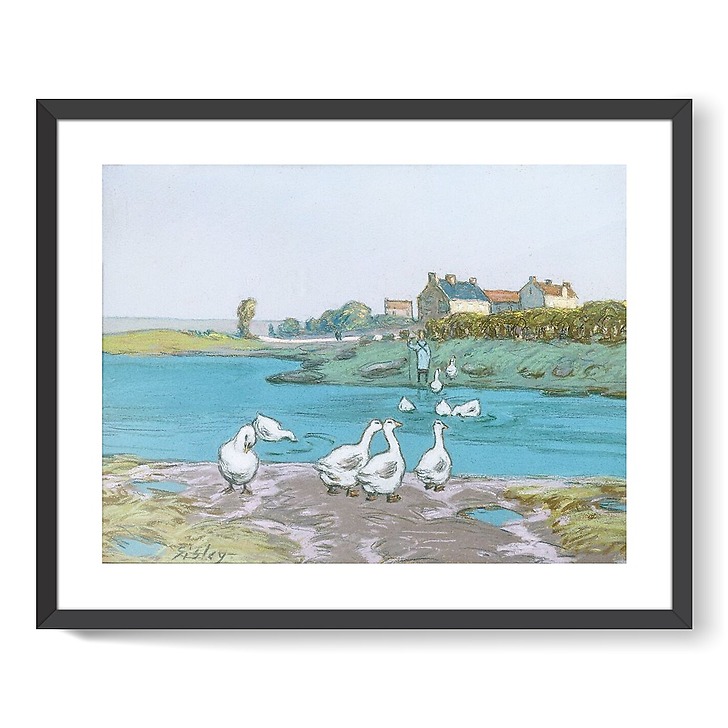 The goose pond (framed art prints)