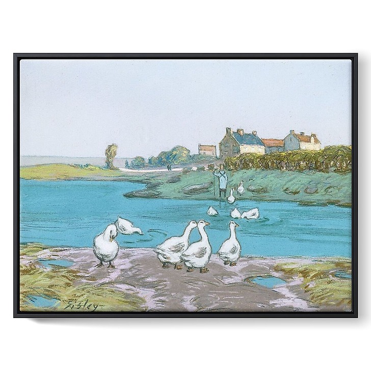 La Mare aux oies (toiles encadrées)