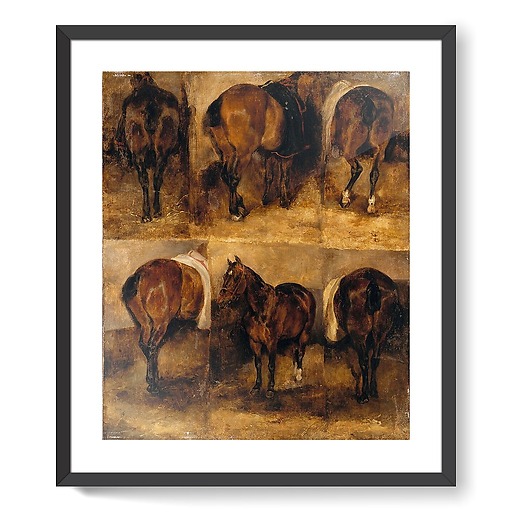 Study of horses (framed art prints)