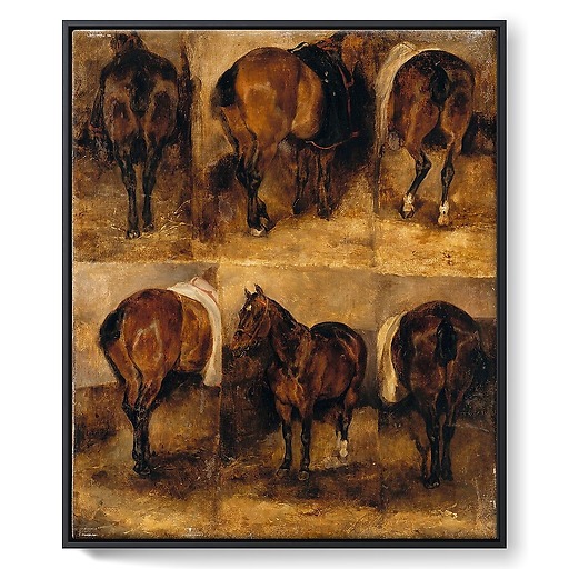 Study of horses (framed canvas)