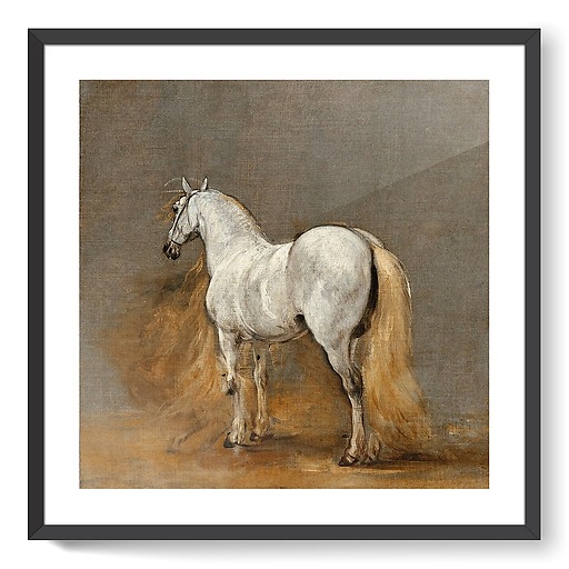 White horse. Study (framed art prints)