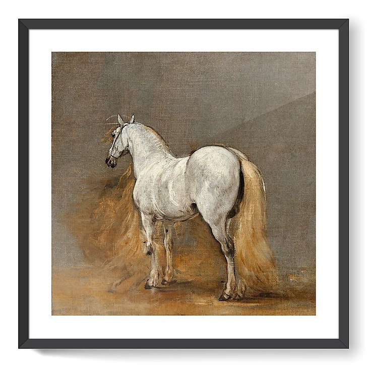White horse. Study (framed art prints)