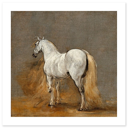 White horse. Study (canvas without frame)