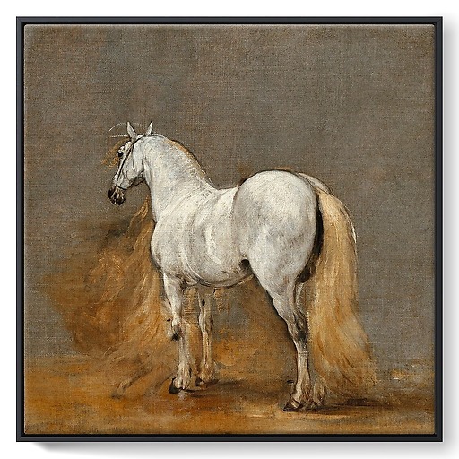 White horse. Study (framed canvas)