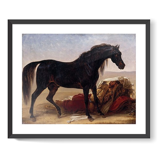 Cheval arabe (affiches d'art encadrées)