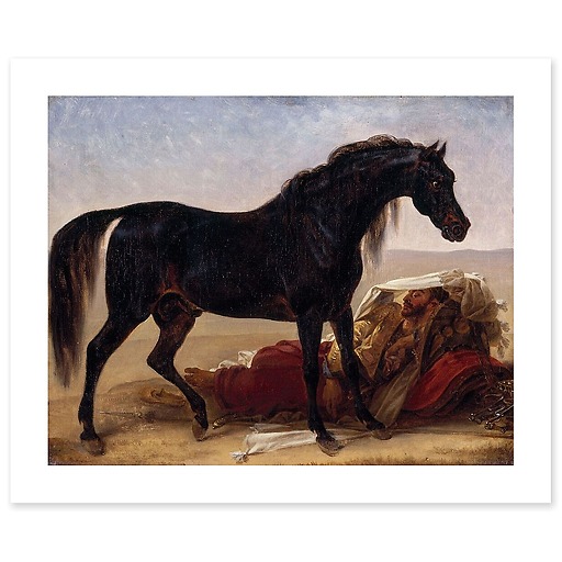 Arab horse (canvas without frame)