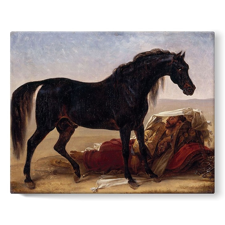 Cheval arabe (toiles sur châssis)