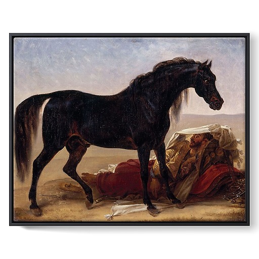 Arab horse (framed canvas)