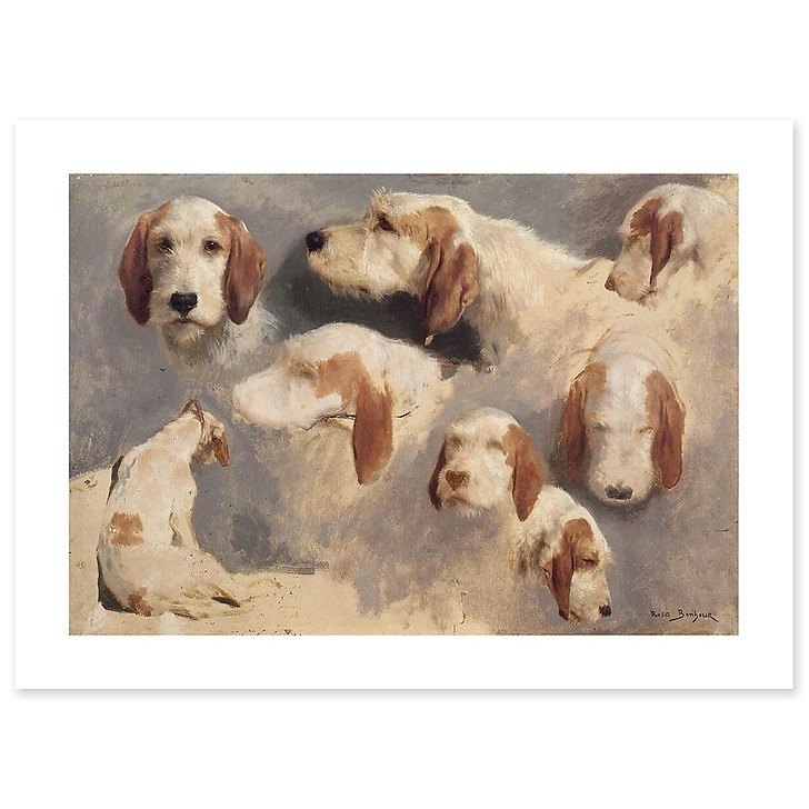 Etude de chien de chasse ; 8 esquisses (affiches d'art)