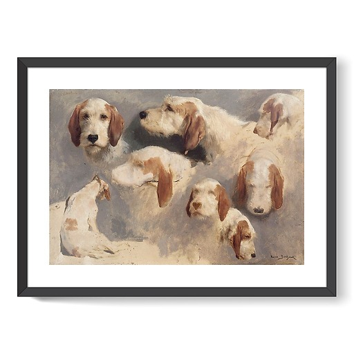 Study of hunting dogs; 8 sketches (framed art prints)