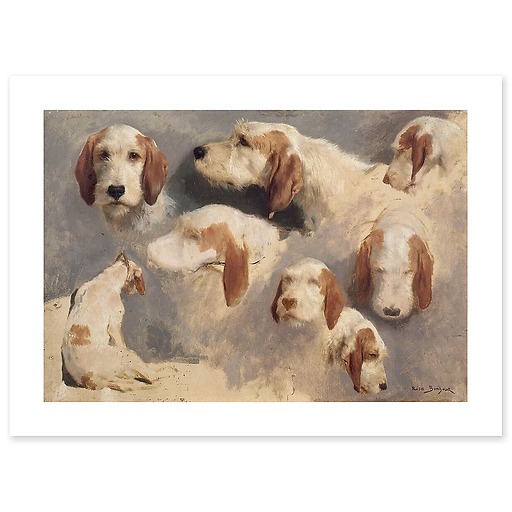 Study of hunting dogs; 8 sketches (canvas without frame)