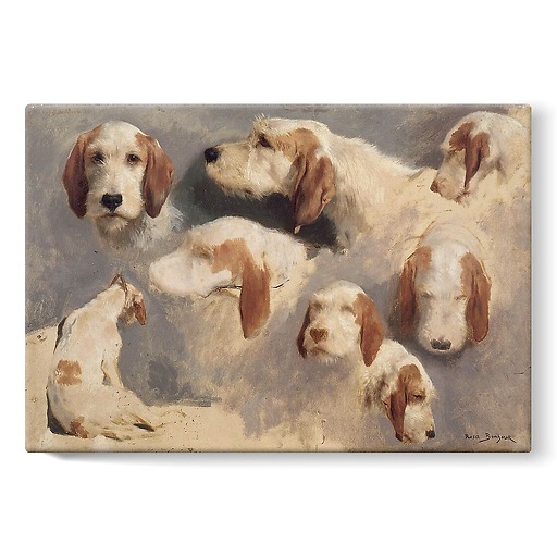 Study of hunting dogs; 8 sketches (stretched canvas)