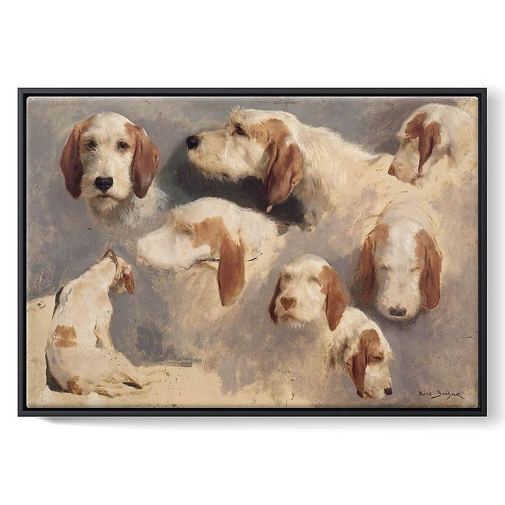 Etude de chien de chasse ; 8 esquisses (toiles encadrées)