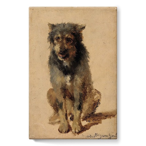 Dog (stretched canvas)