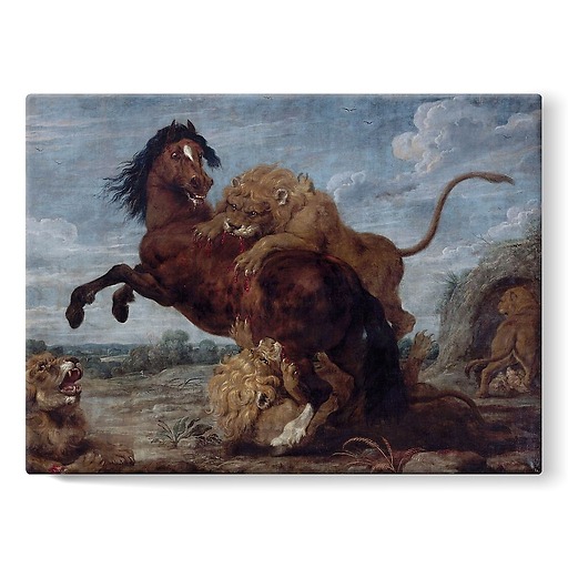 Horse attacked by lions (stretched canvas)