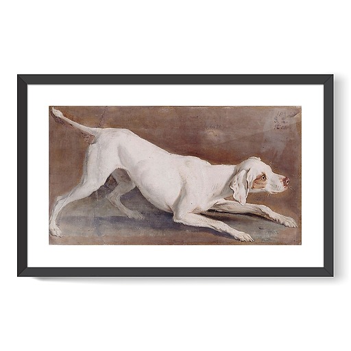 Etude de chienne blanche "Tane" (affiches d'art encadrées)