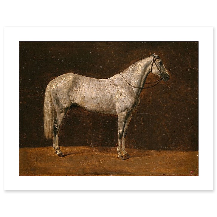 Cheval de Napoléon : "Le Sahara" (affiches d'art)
