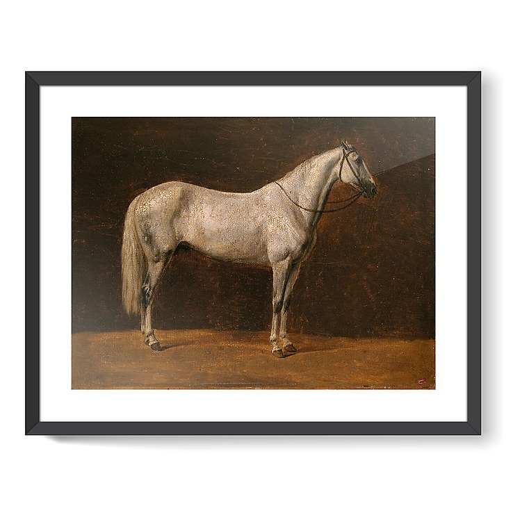 Cheval de Napoléon : "Le Sahara" (affiches d'art encadrées)