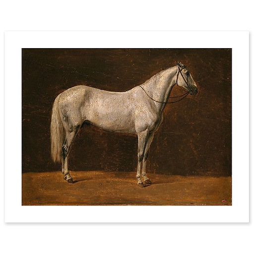 Napoleon's horse: "The Sahara" (canvas without frame)