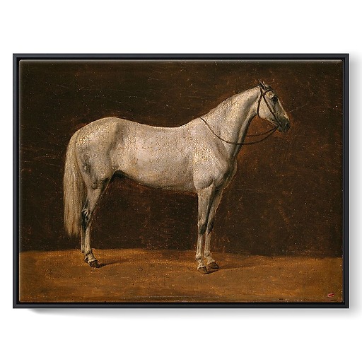 Napoleon's horse: "The Sahara" (framed canvas)