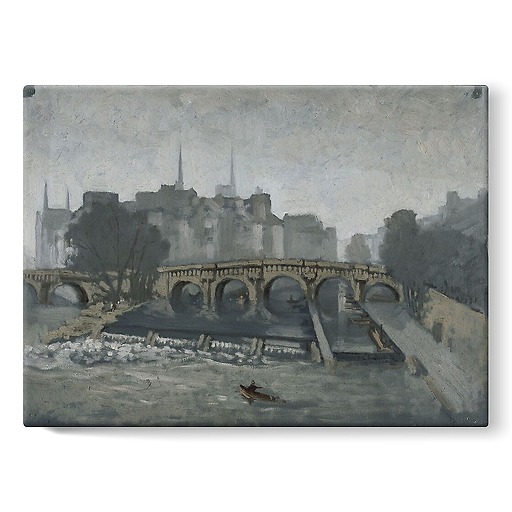 Album of views of Paris, the Pont Neuf and the Ile de la Cité (stretched canvas)