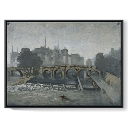 Album of views of Paris, the Pont Neuf and the Ile de la Cité (framed canvas)