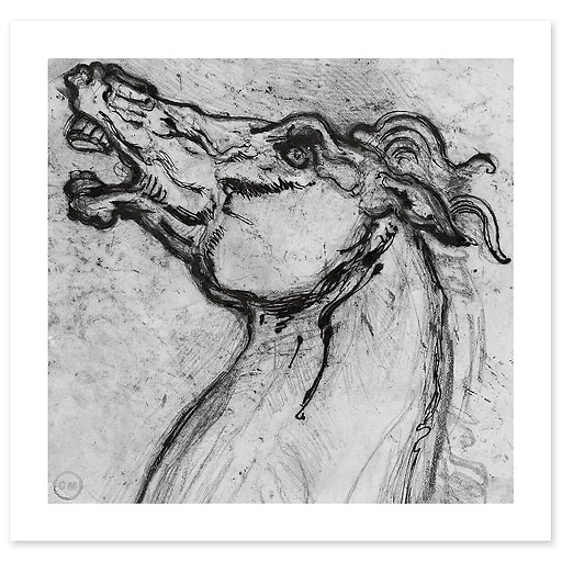 Horse head for Diomedes (art prints)