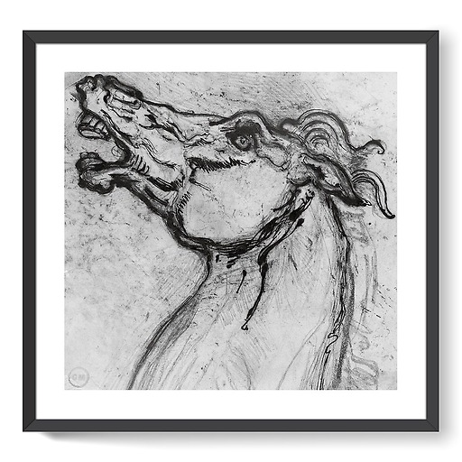 Horse head for Diomedes (framed art prints)