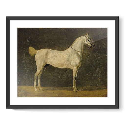 Napoleon's horse "The Distinguished One" (framed art prints)