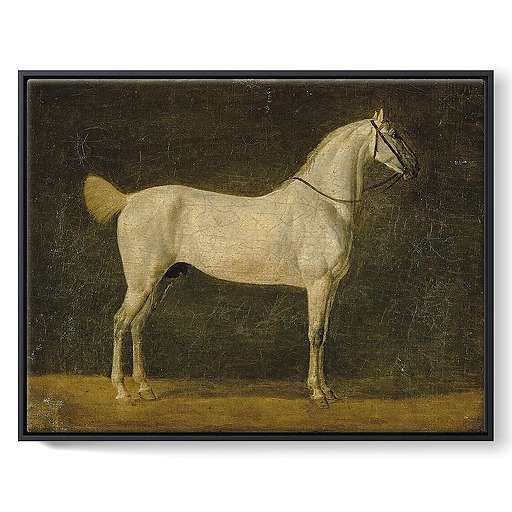 Napoleon's horse "The Distinguished One" (framed canvas)