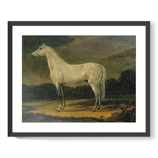 Napoleon's horse "the Vizir" (framed art prints)