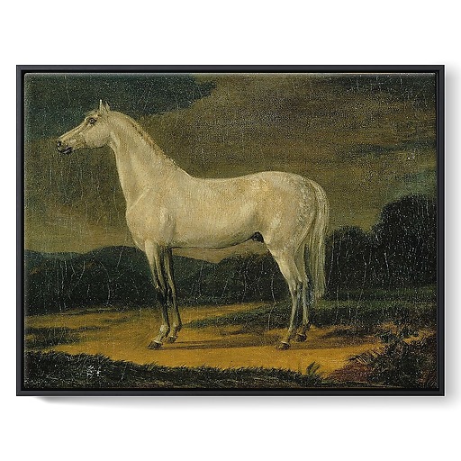 Napoleon's horse "the Vizir" (framed canvas)