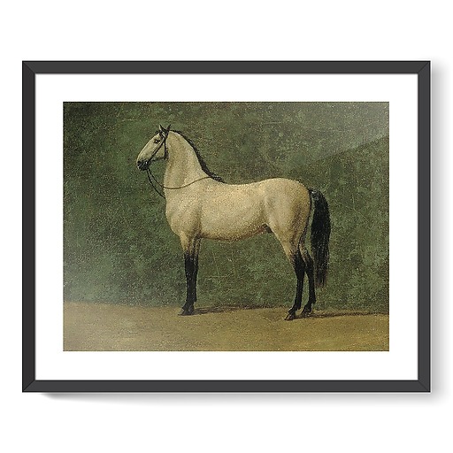 Napoleon 1st's horse "The Familiar" (framed art prints)