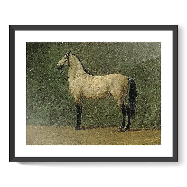 Cheval de Napoléon 1er "le Familier" (affiches d'art encadrées)