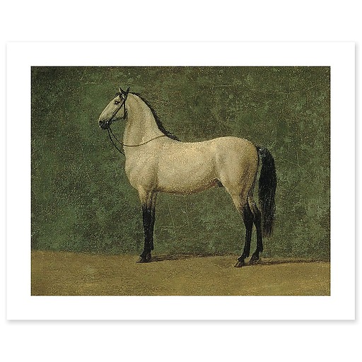 Napoleon 1st's horse "The Familiar" (canvas without frame)