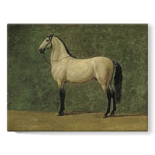 Napoleon 1st's horse "The Familiar" (stretched canvas)