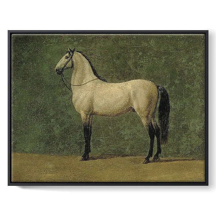 Cheval de Napoléon 1er "le Familier" (toiles encadrées)