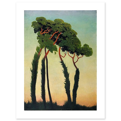 Sunshade pines (canvas without frame)