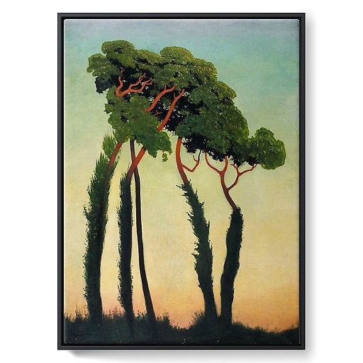 Sunshade pines (framed canvas)