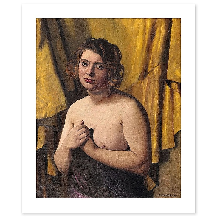 Torse de femme (toiles sans cadre)