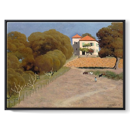 Landscape, the house with the red roof (framed canvas)