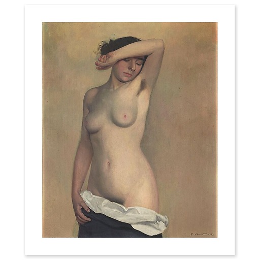 Nude (canvas without frame)