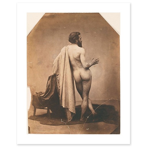 Study of male back nude (Edmond Lebel') (art prints)
