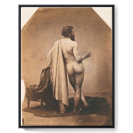 Study of male back nude (Edmond Lebel') (framed canvas)