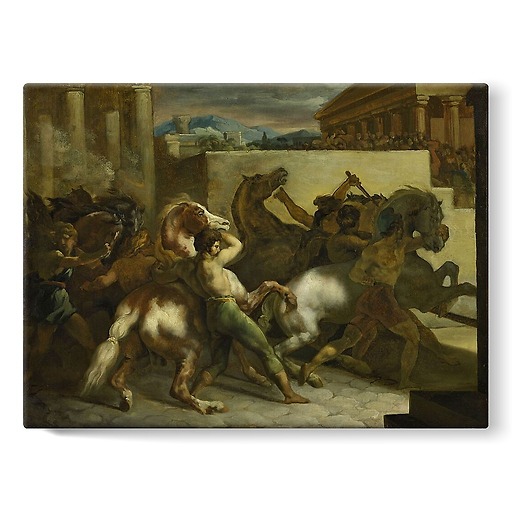 Free horse racing in Rome (stretched canvas)